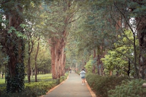 Guests enjoying a peaceful morning walk along tree-lined paths.