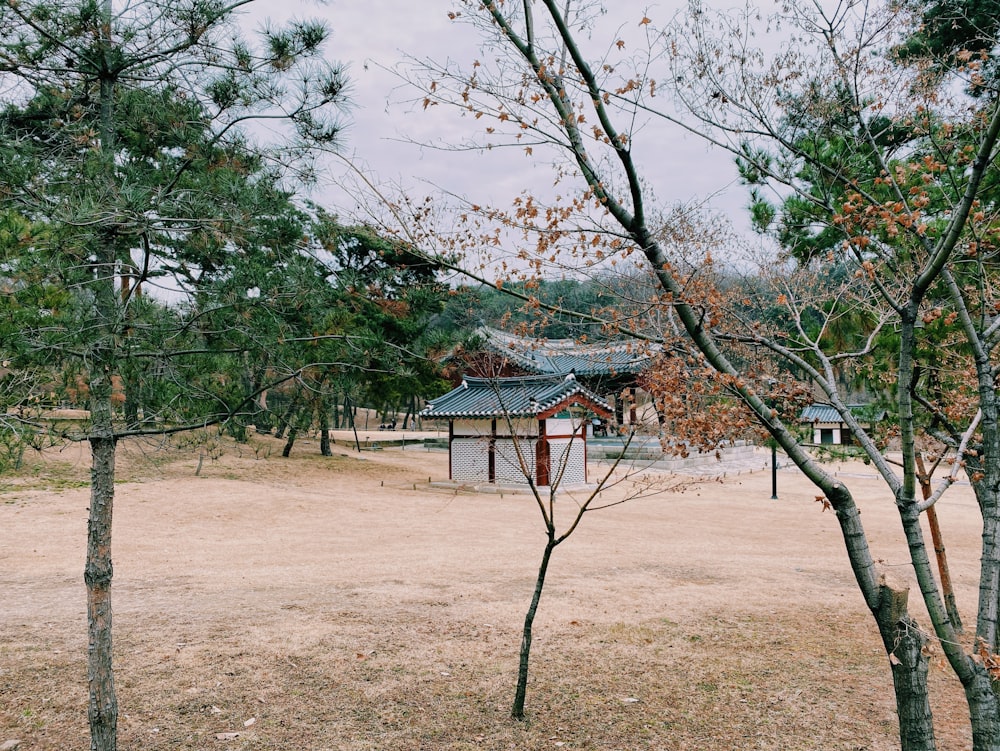 brown wooden house near trees during daytime