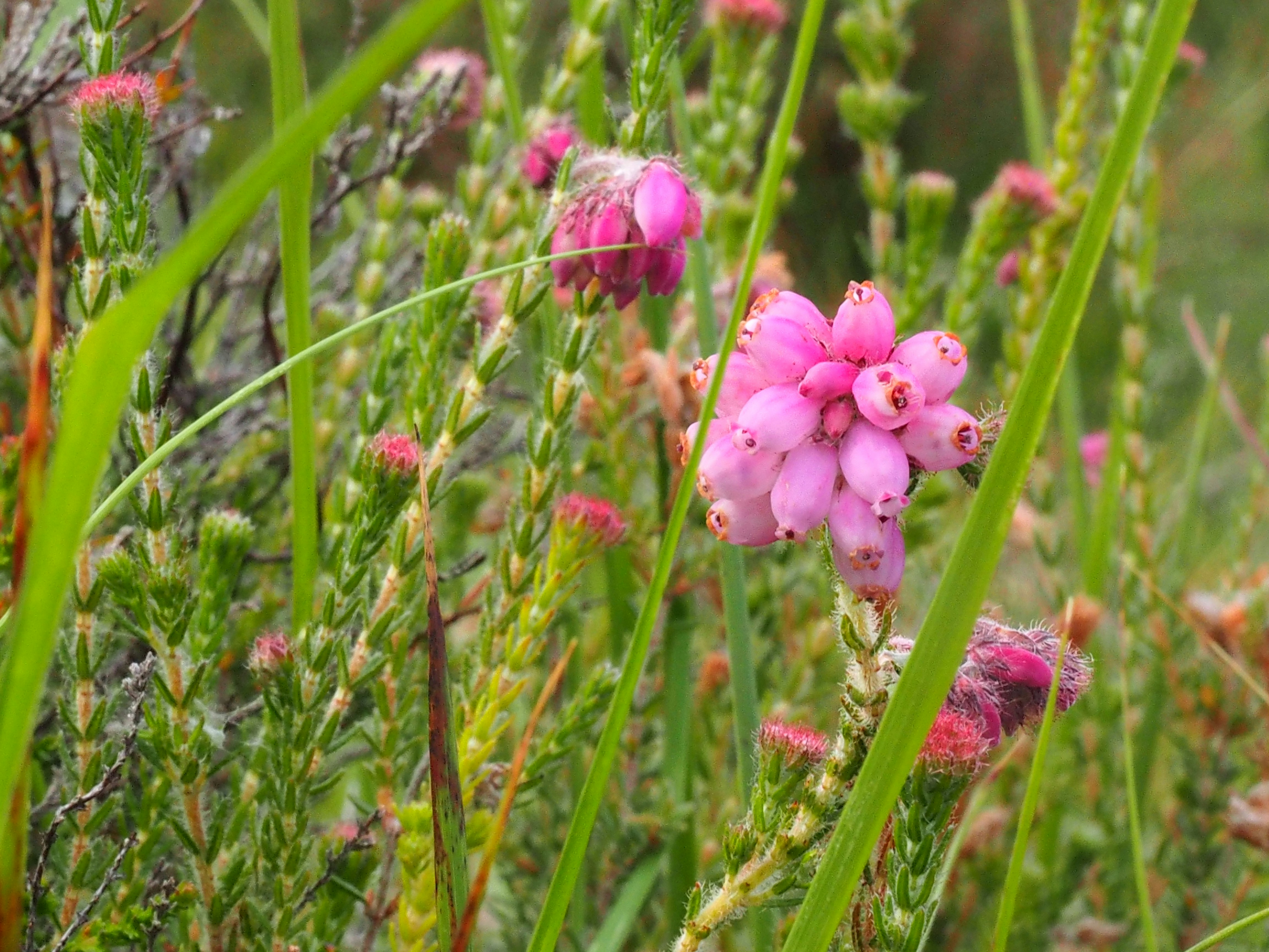 Photo by boarderbloke