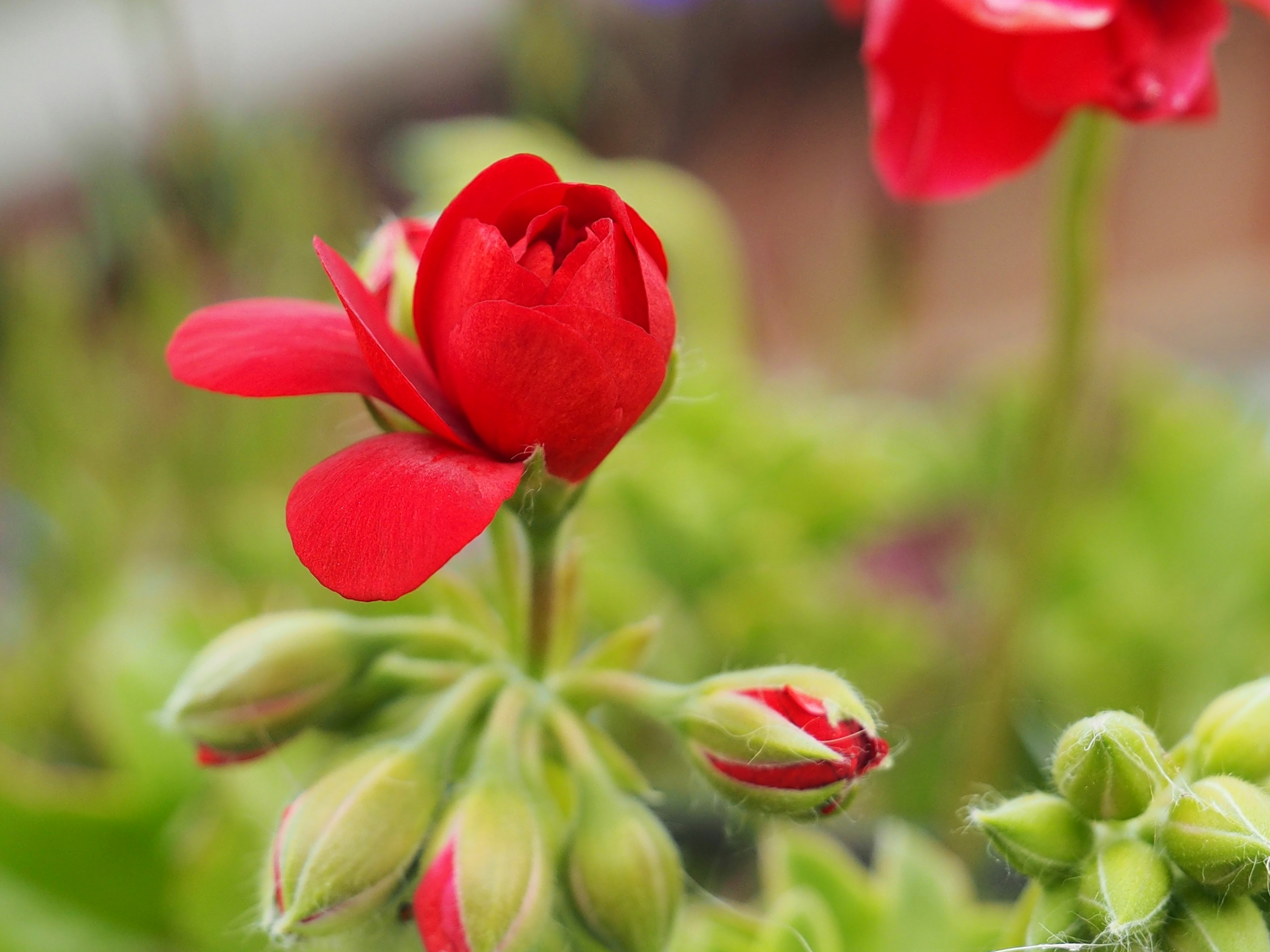 Photo by boarderbloke