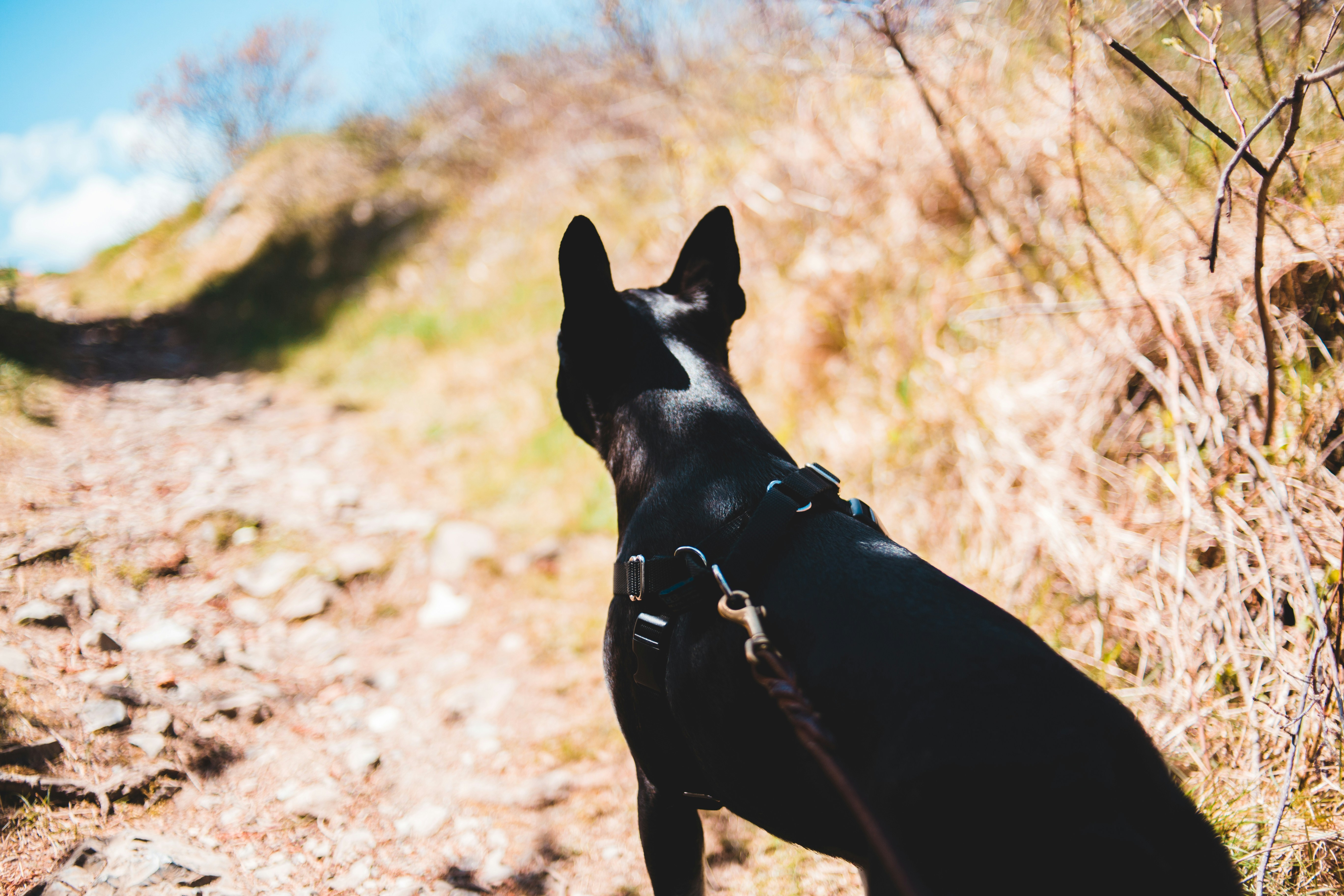 Photo by introspectivedsgn