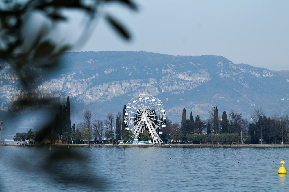 white ferris wheel near body of water during daytime