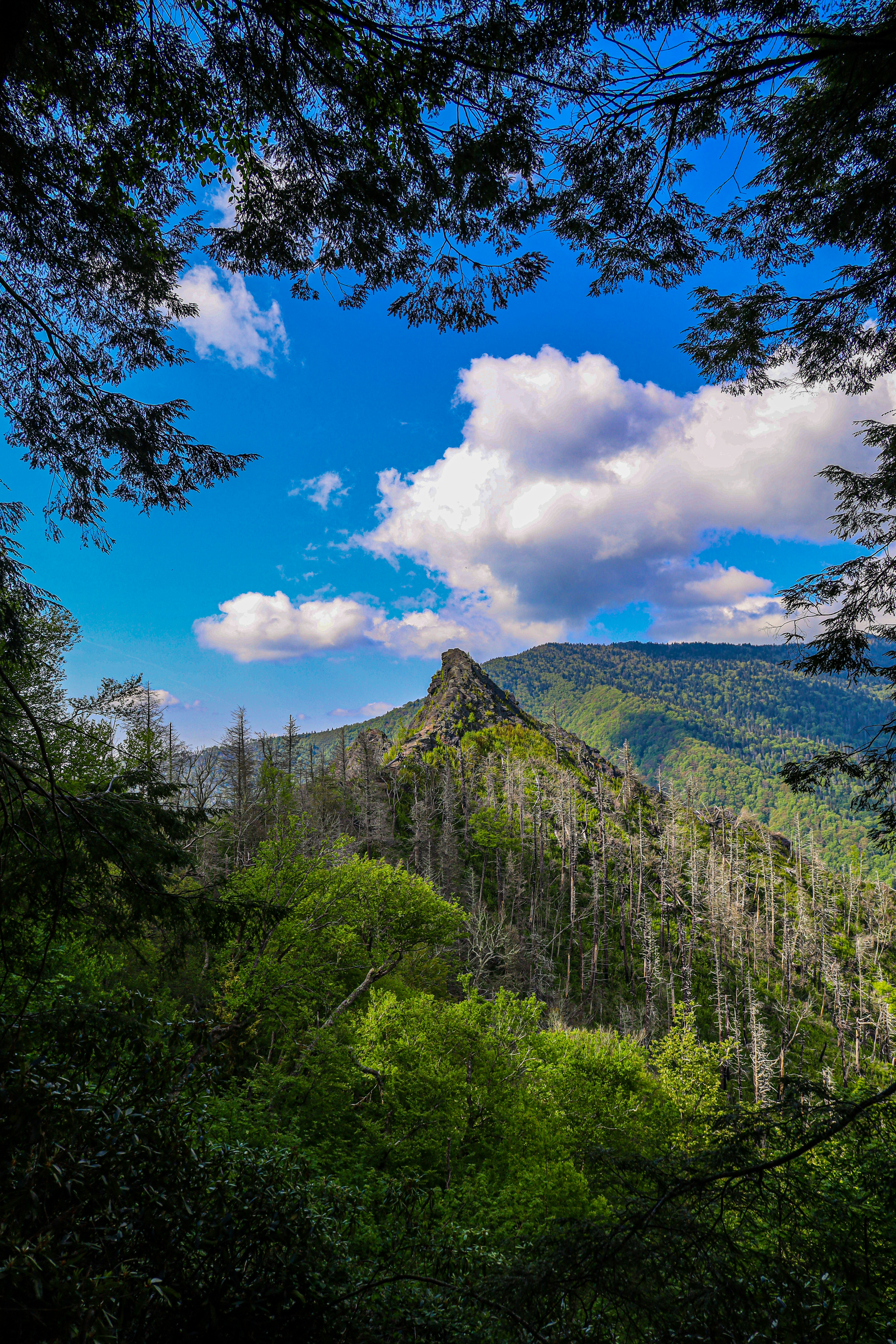 Photo by thetrentonsmith