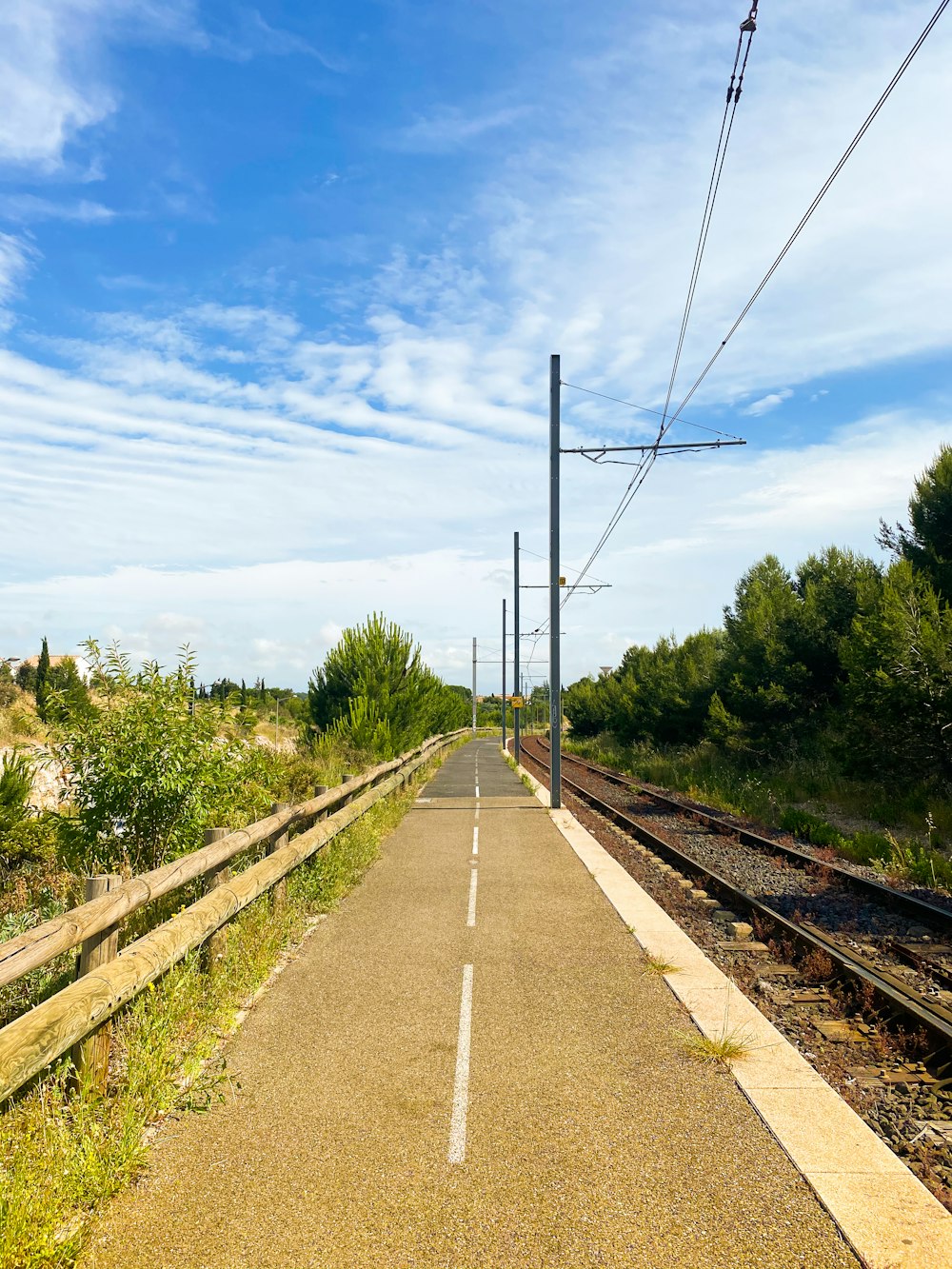 gray concrete road between green trees under blue sky during daytime