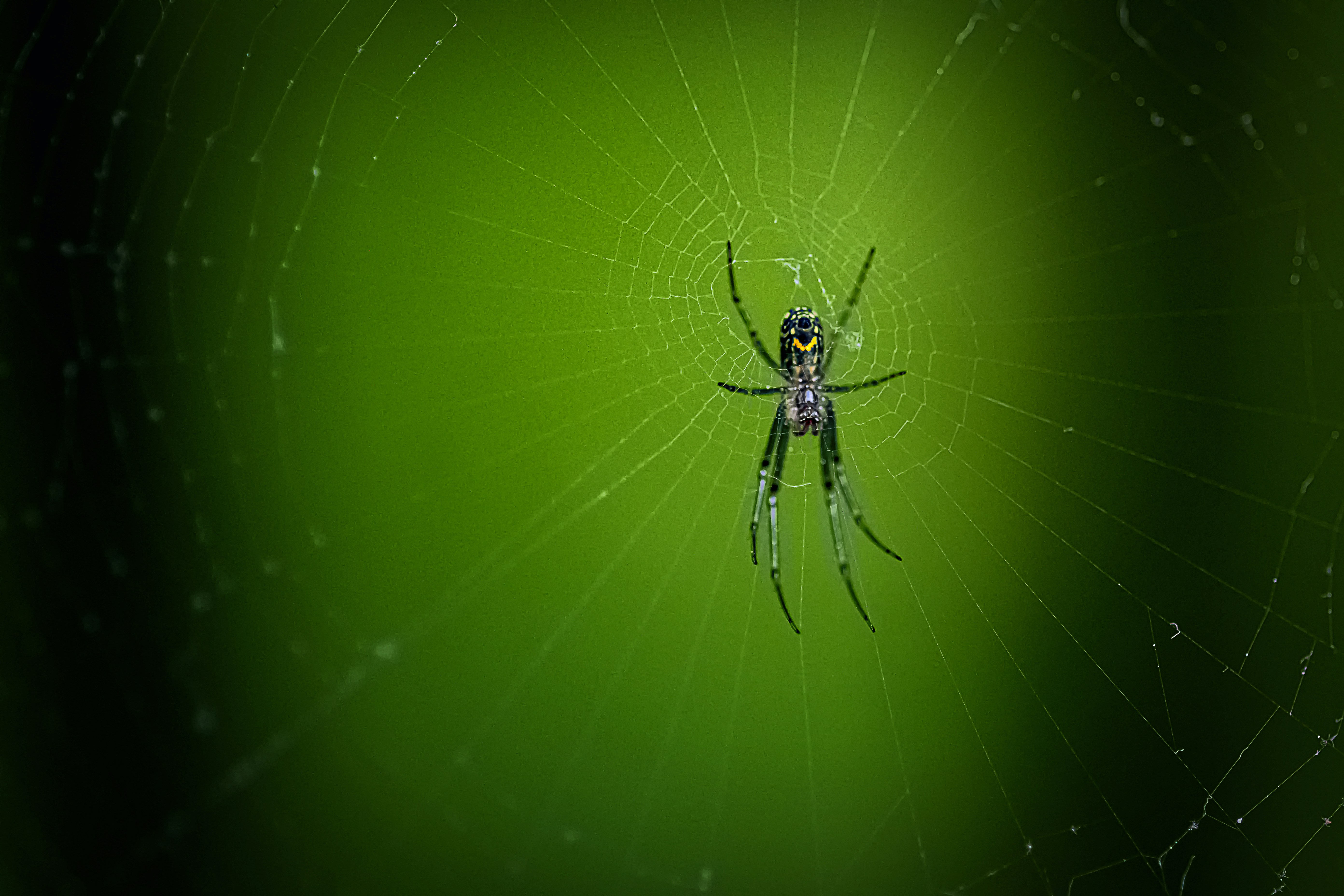 The power of patience