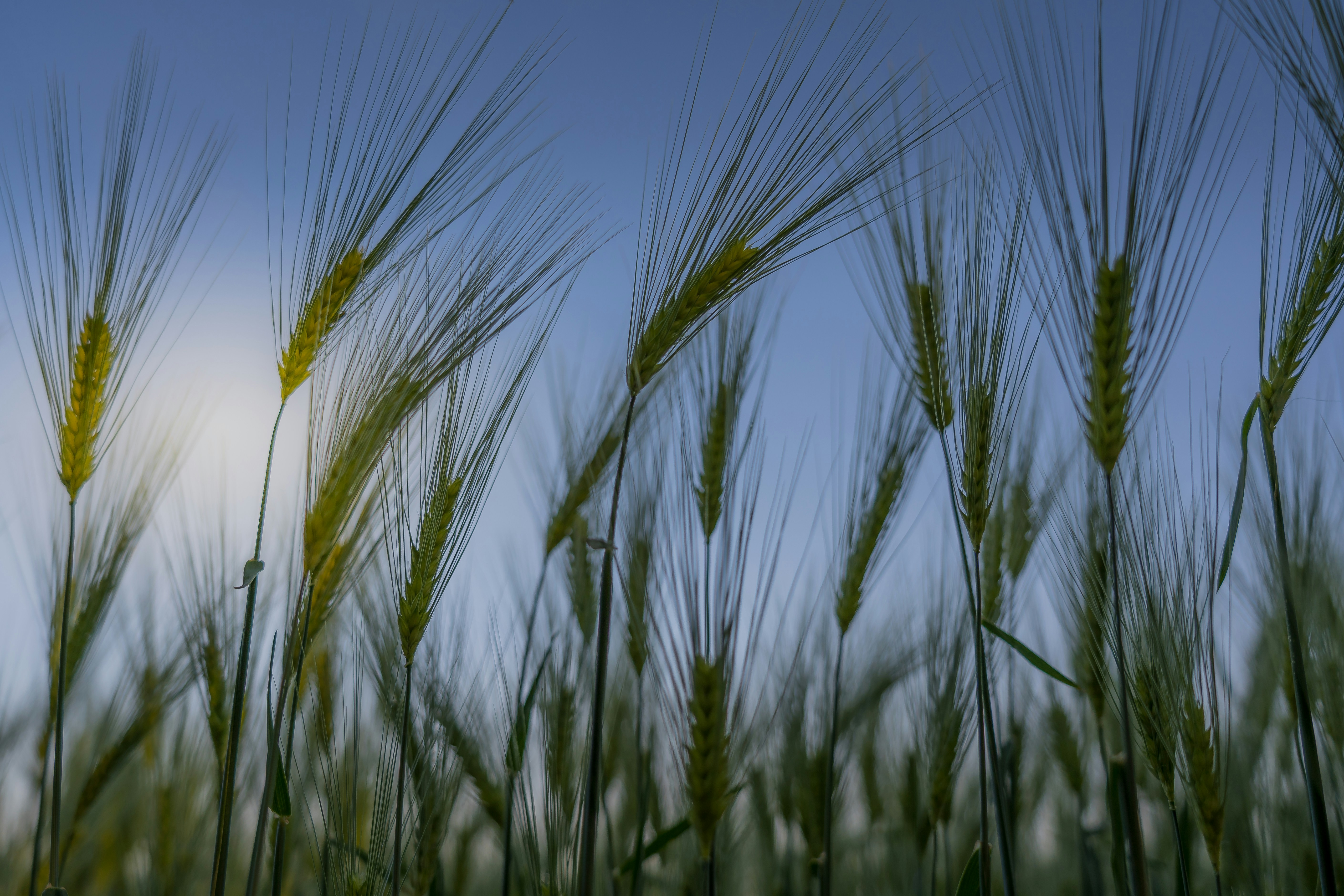 Photo by jannerboy62