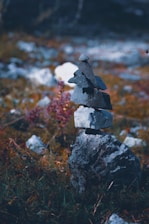 A calm rock cairn balanced on a smooth stone surface in natural earth tones.