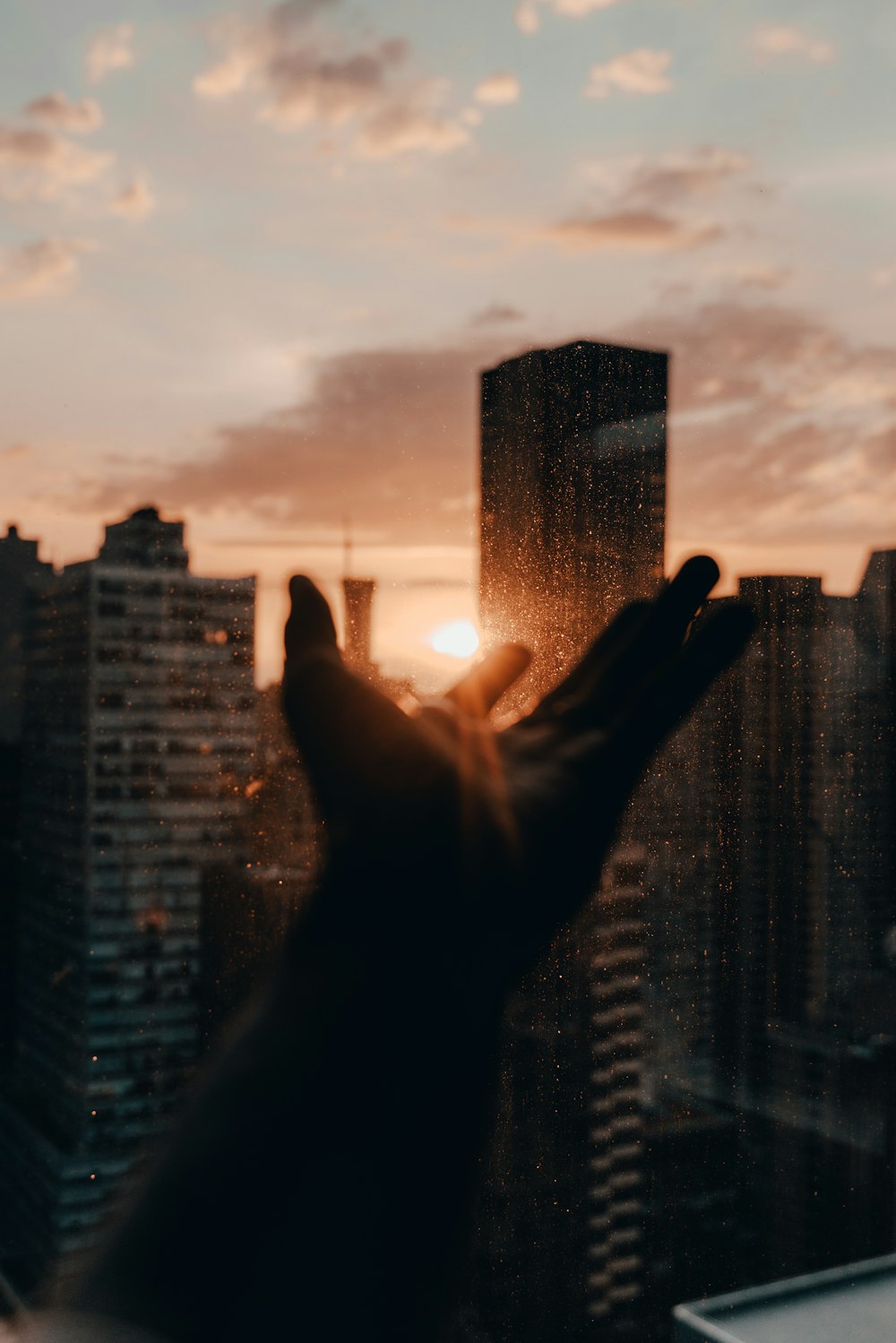 persons hand on top of building during sunset