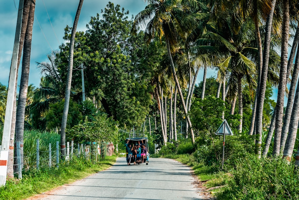 people riding on green and black carriage on gray concrete road between green palm trees during