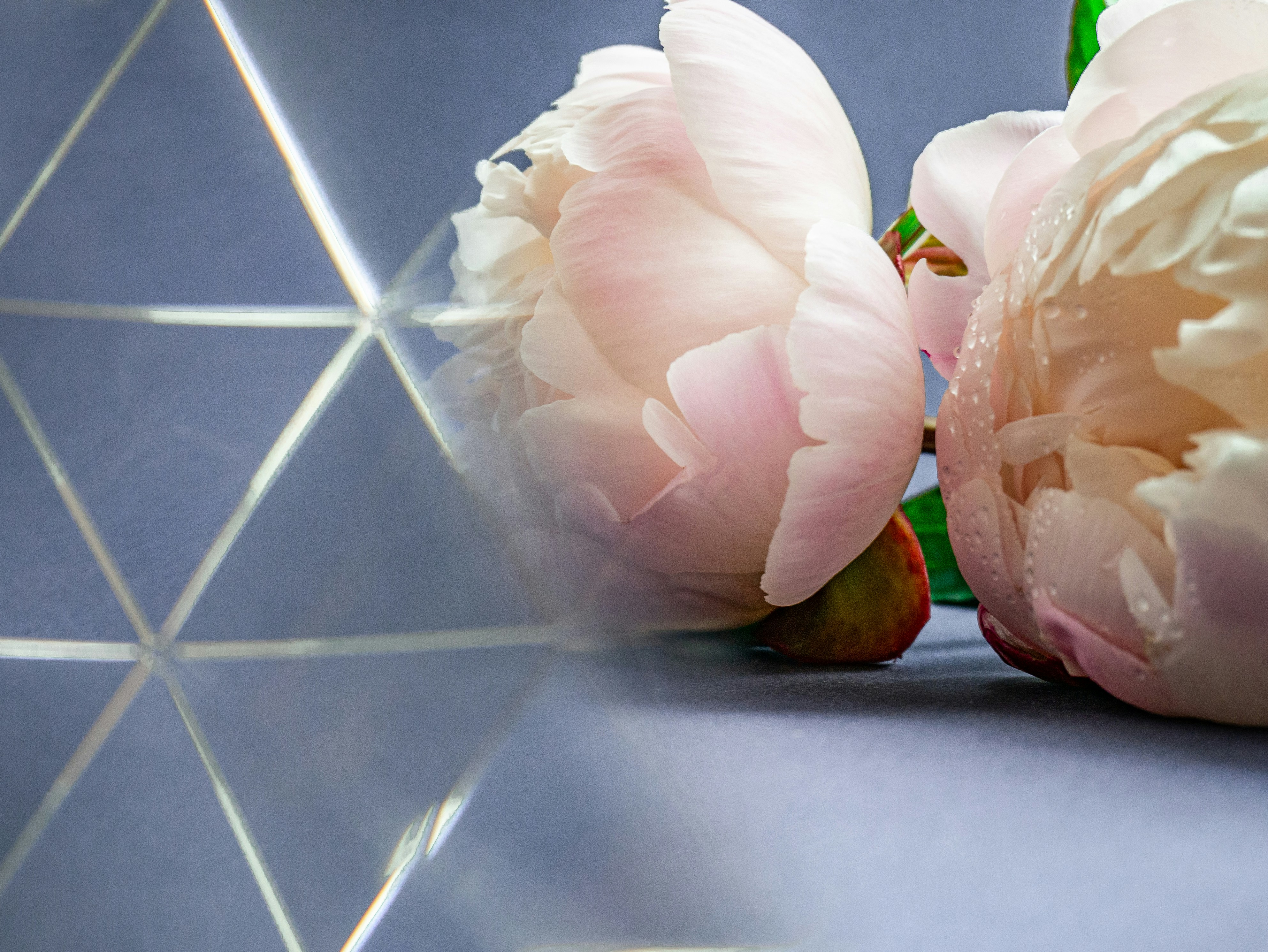 Photo by tati_visual