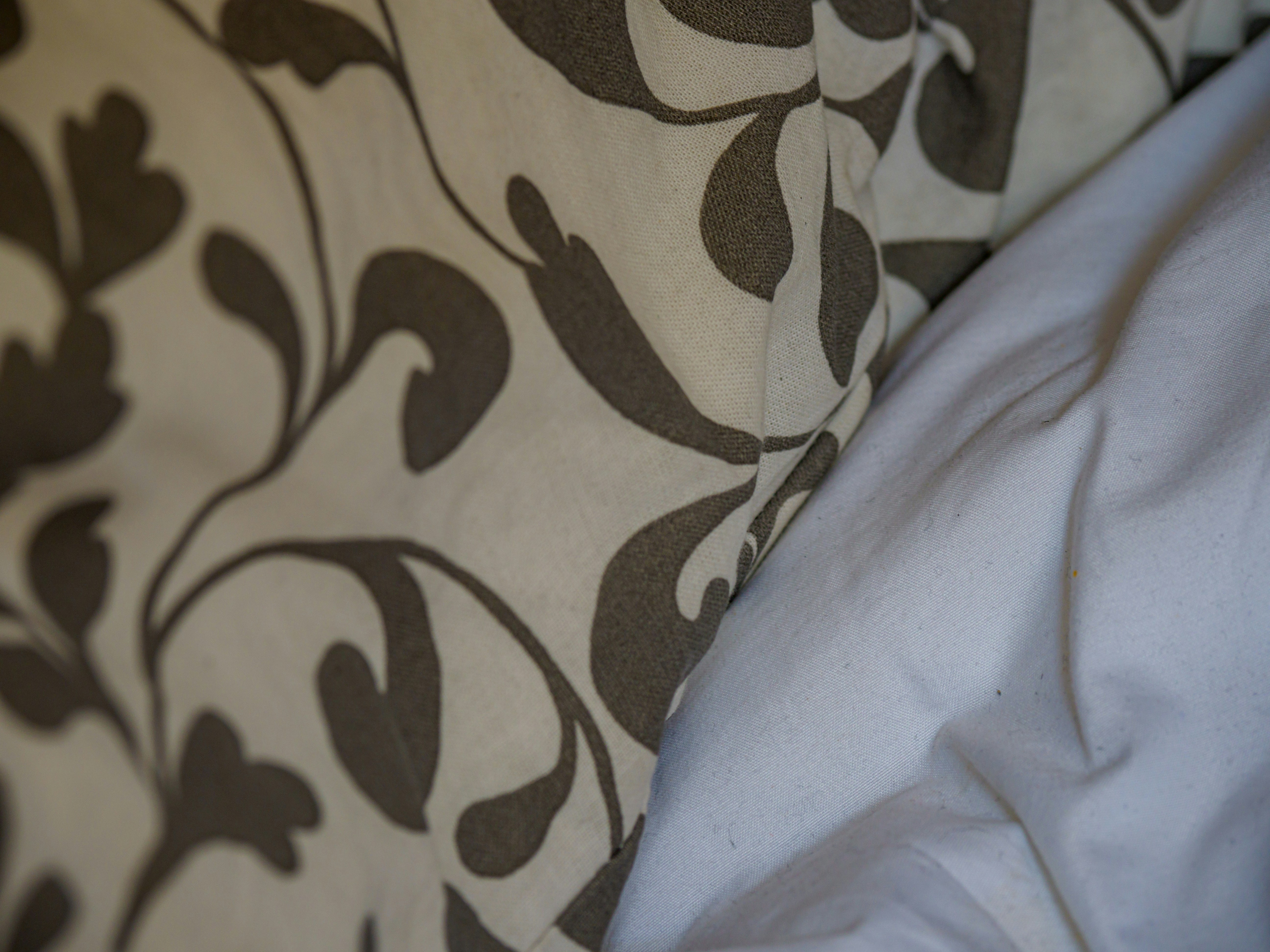 Photo by brett_jordan