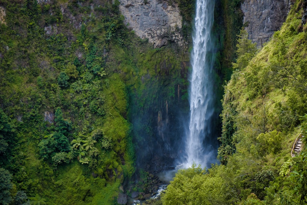 waterfalls in the middle of green trees