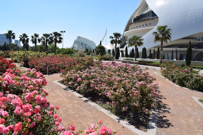 A lush villa garden with modern landscaping and vibrant flowers under a clear Dubai sky.