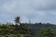 A panoramic view of the Big Buddha statue overlooking lush green hills.