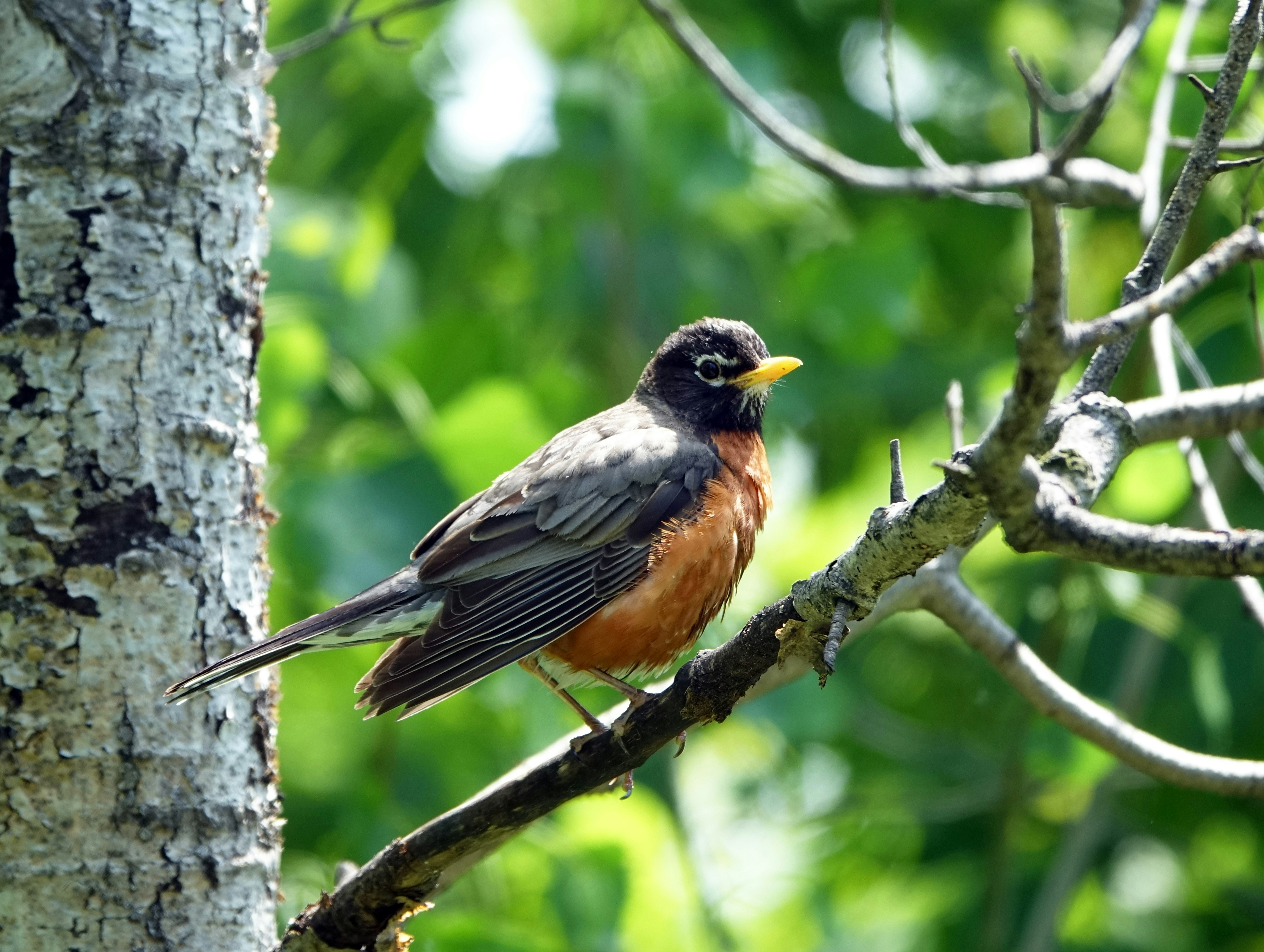 Photo by photography_romina