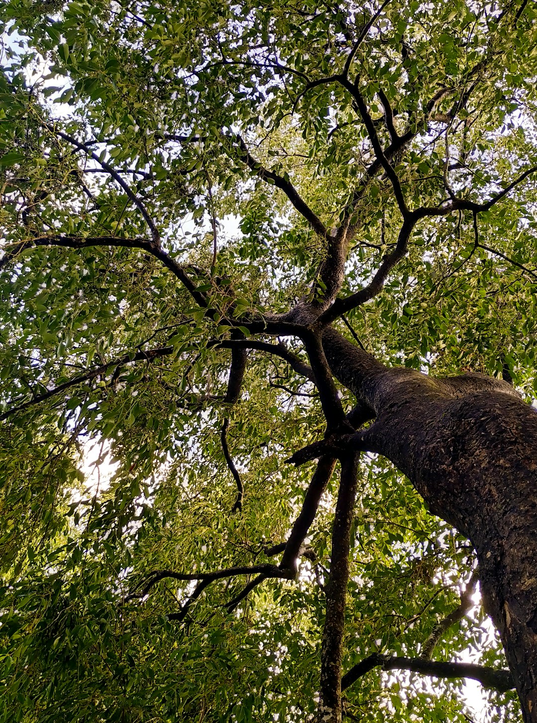 Forest photo spot Kulamavu Thadiyoor