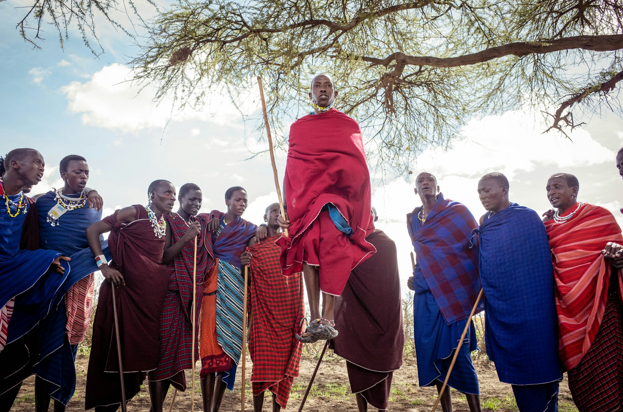 Tanzania: Discover the Land of Serengeti