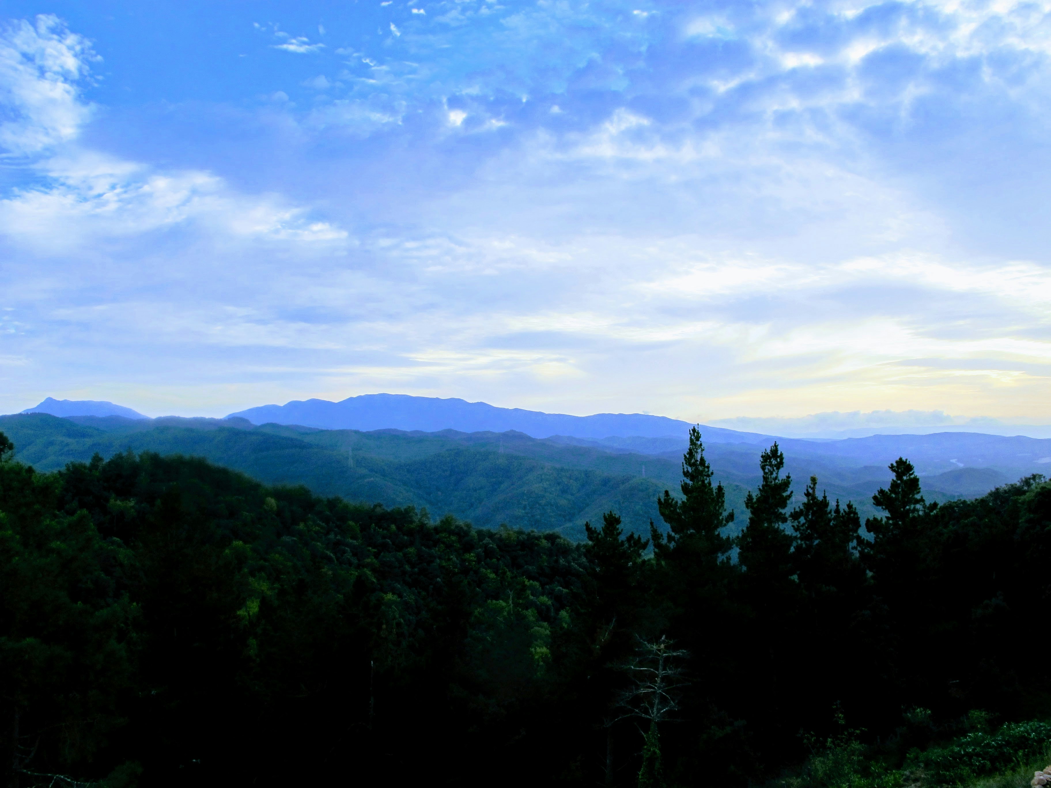 Photo by isaacmarechal