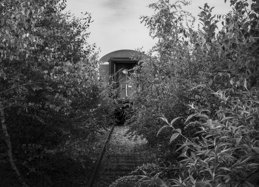 Photo en niveaux de gris d’une cage à oiseaux