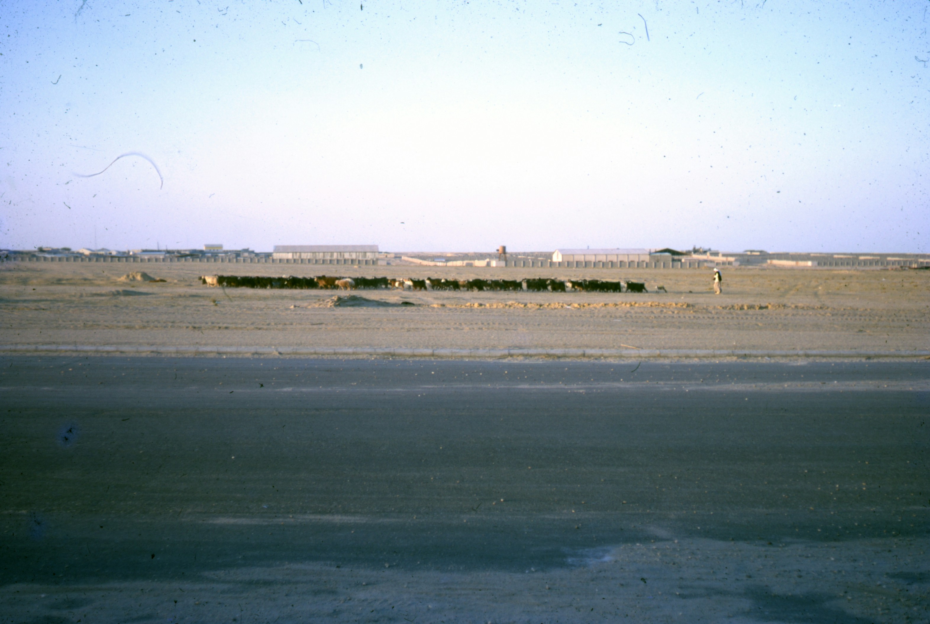 green grass field under blue sky during daytime