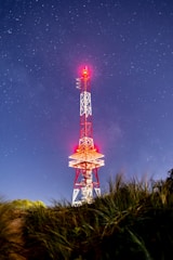 Master communication unit with antennae glowing cyan, set against a twilight forest backdrop.