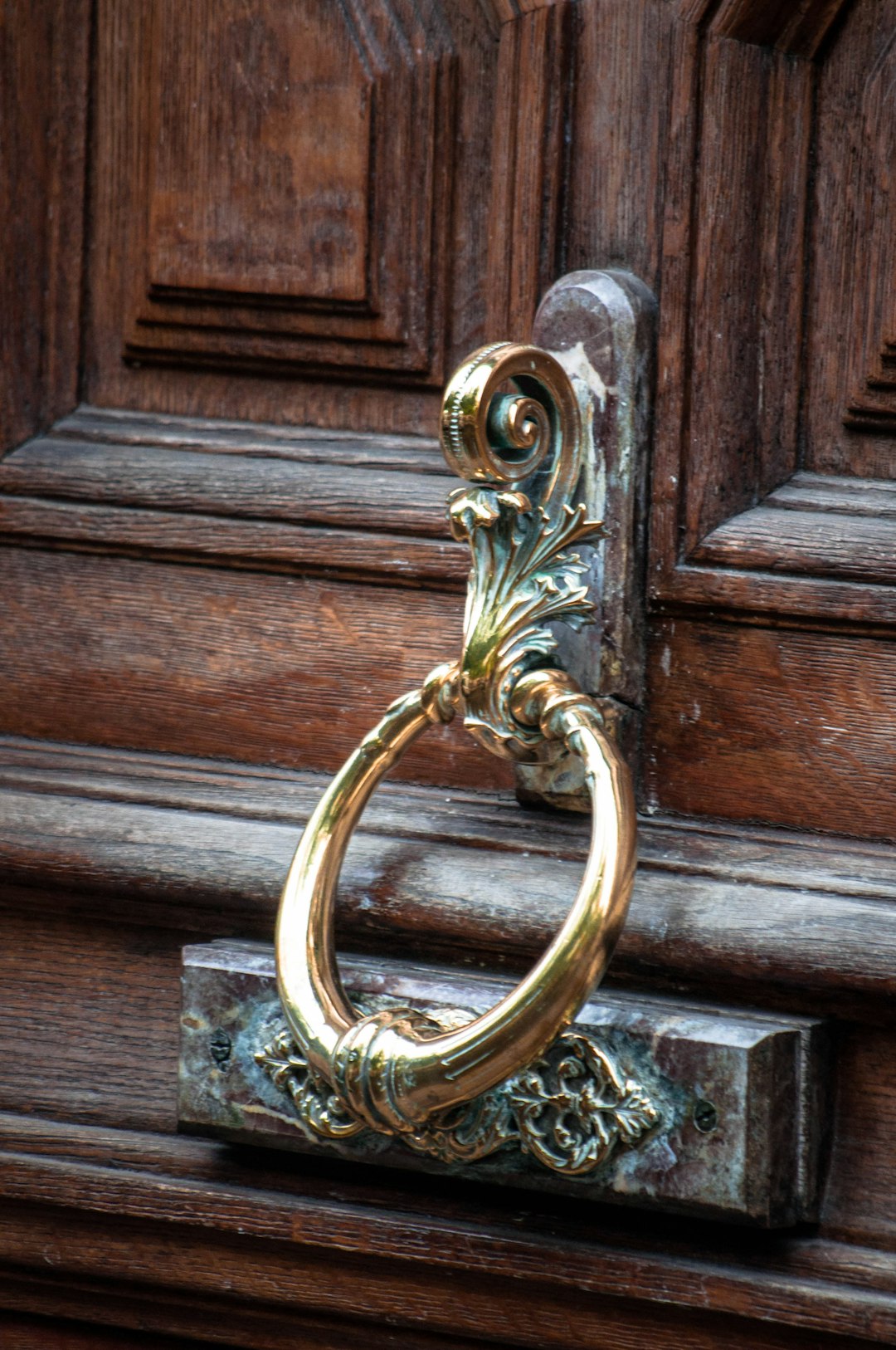 gold door handle on brown wooden door