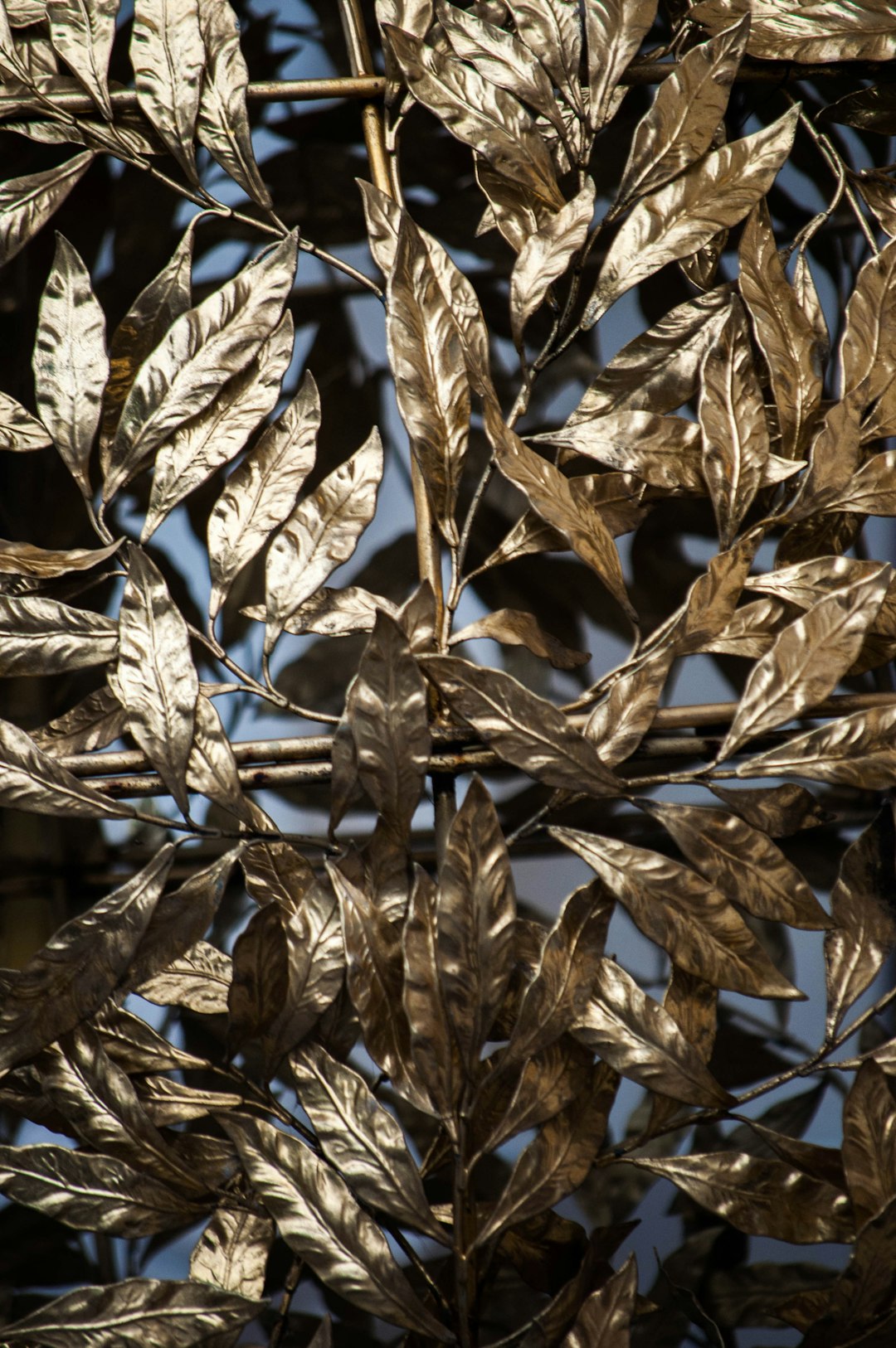 brown leaves in close up photography