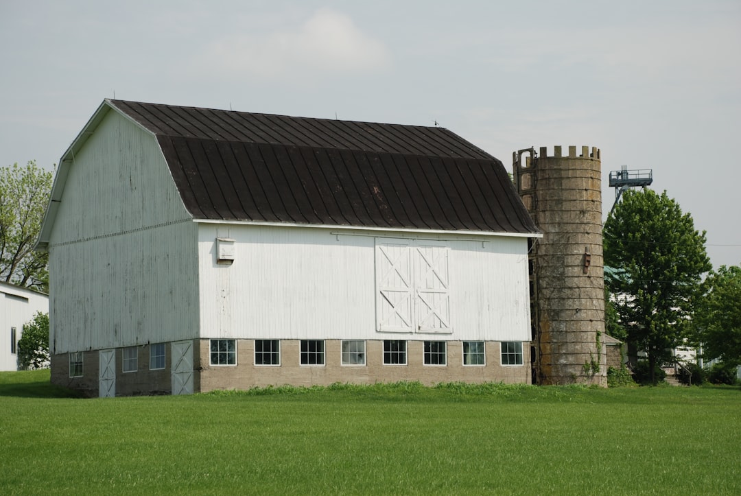 white and brown wooden house on green grass field during daytime