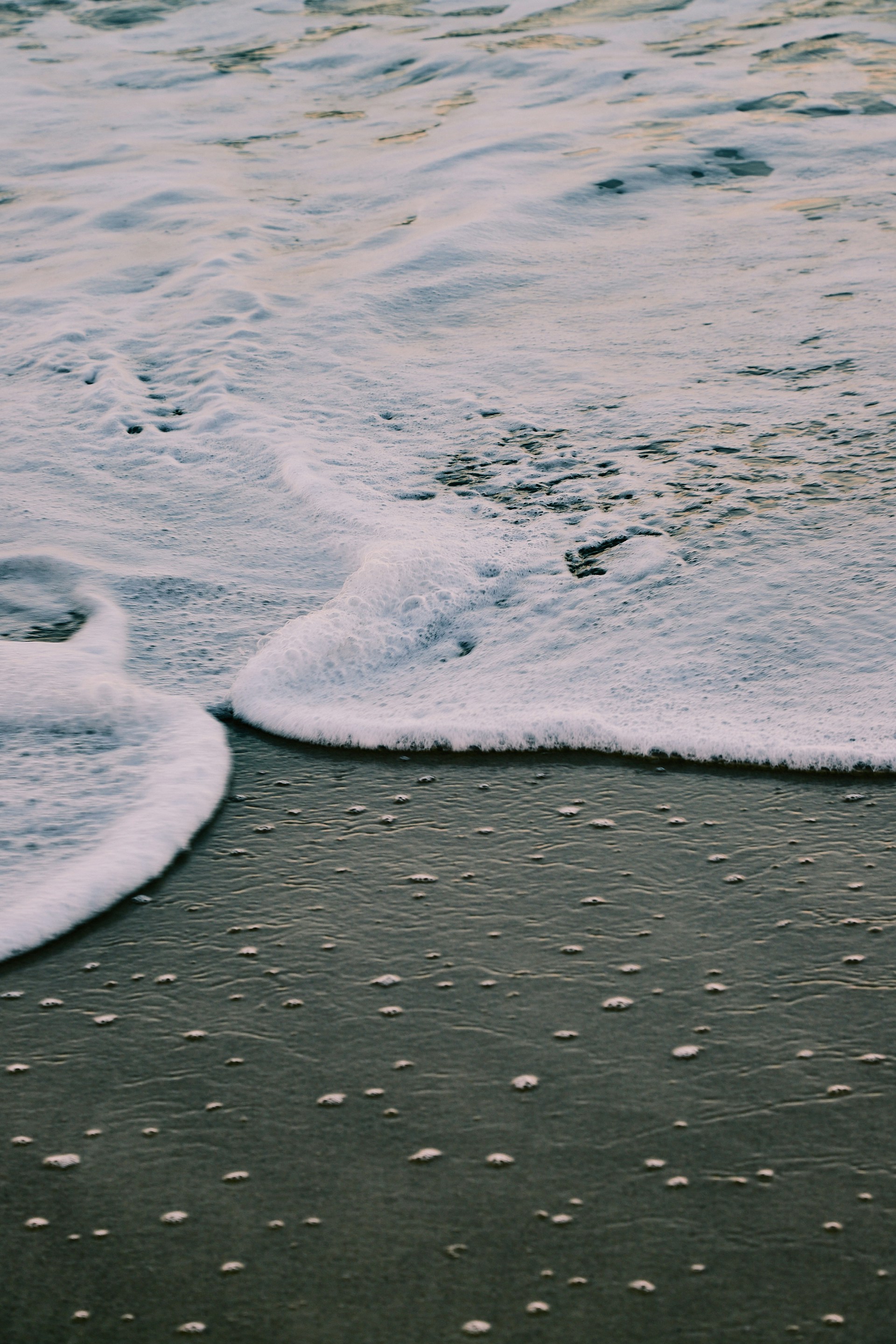 Photo by joaovoltolini