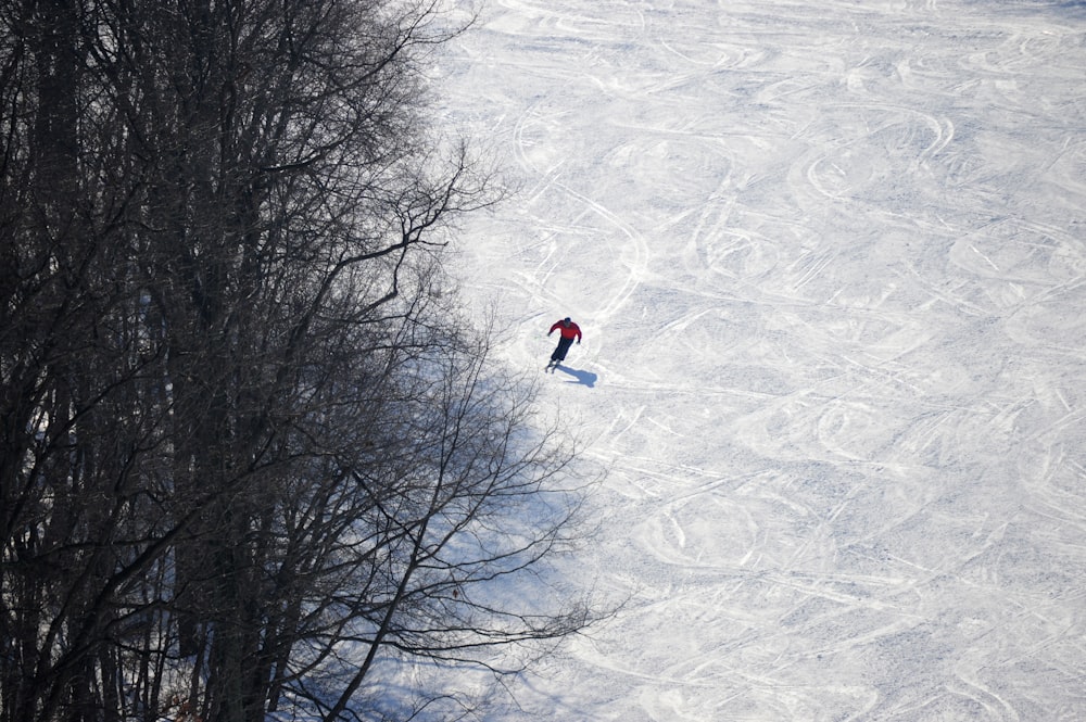 person in red jacket and blue pants walking on snow covered ground during daytime