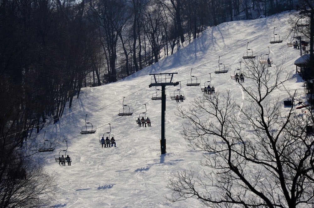 people on snow covered ground during daytime