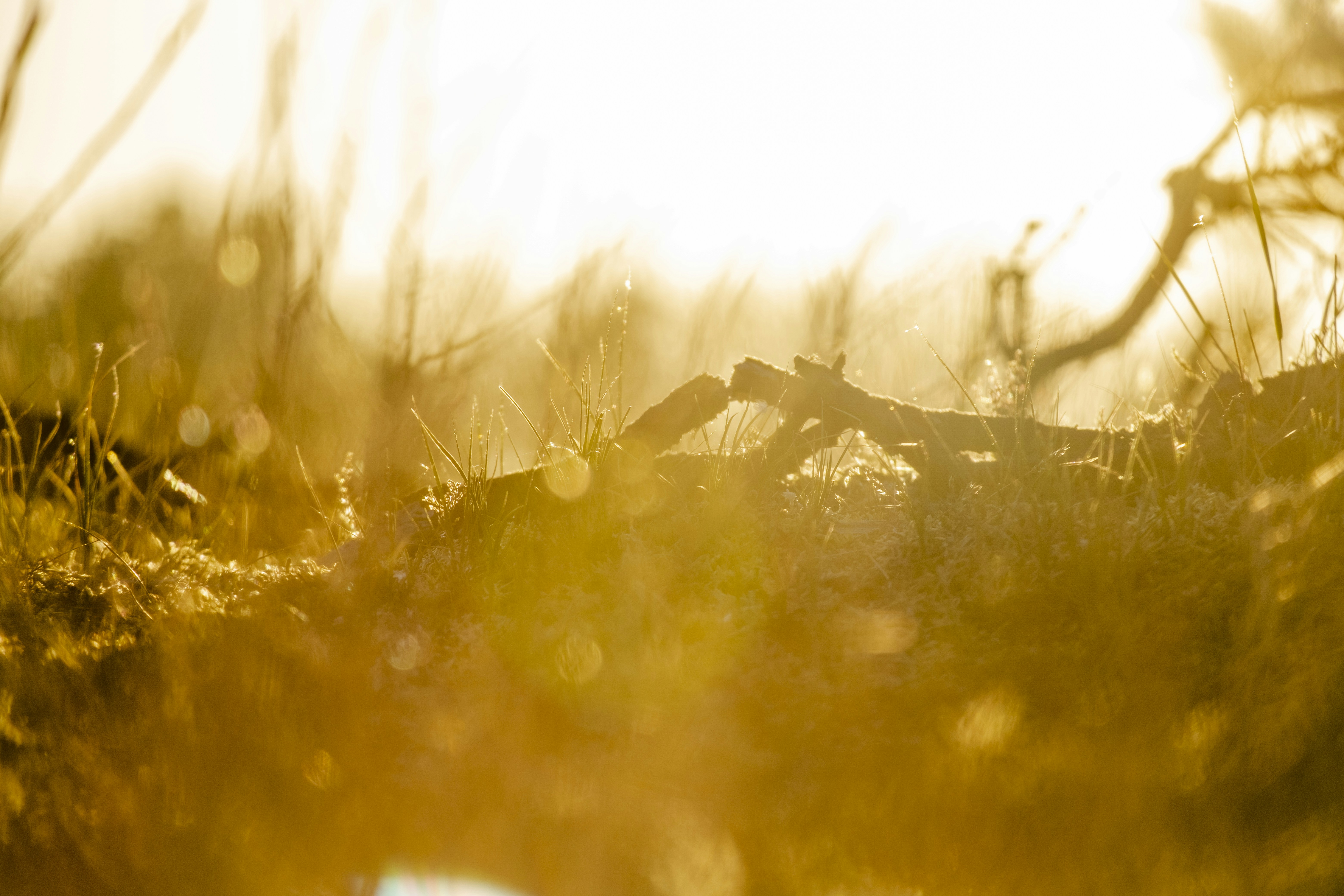 Photo by sandermathlener