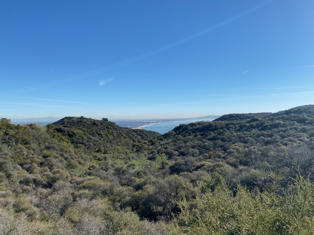 campo de grama verde perto do corpo de água sob o céu azul durante o dia