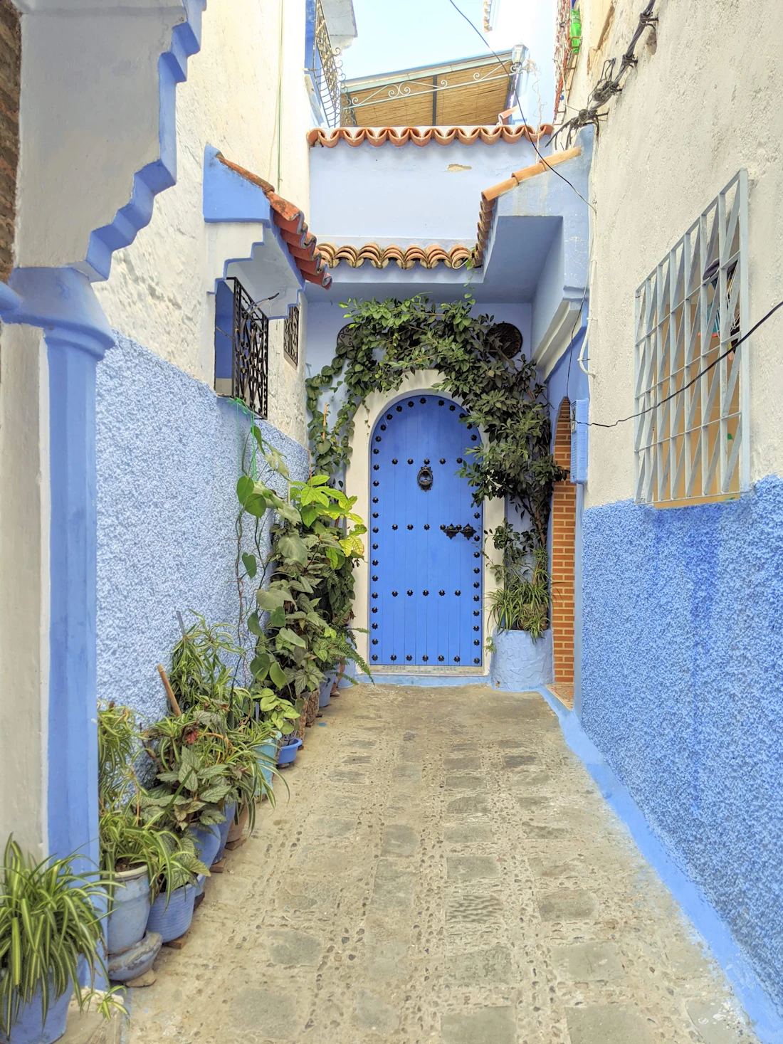 A blue-painted alley lined with potted plants in the medina of Chefchaouen, Morocco
