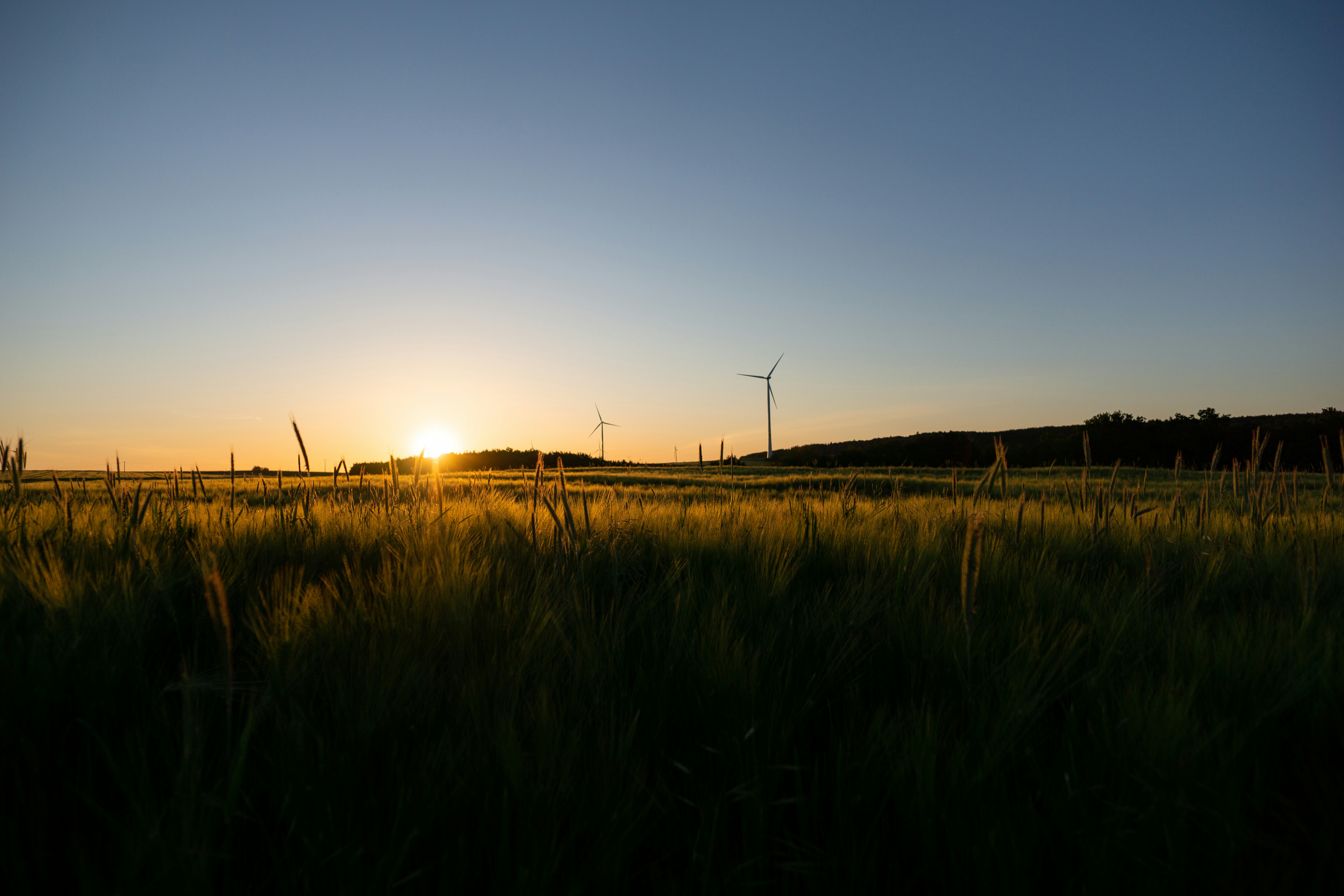 Photo by electerious