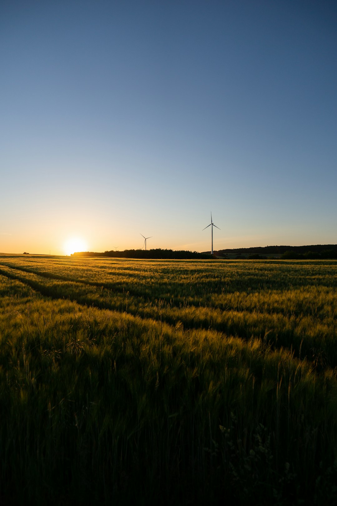 wind turbines on green grass field during sunset