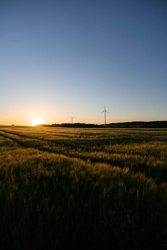 wind turbines on green grass field during sunset in Mörsdorf Germany