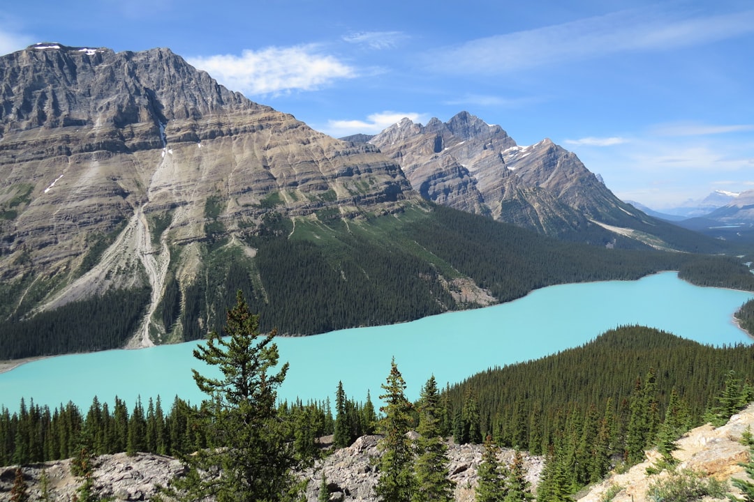 Hill station photo spot Peyto Lake Emerald Lake