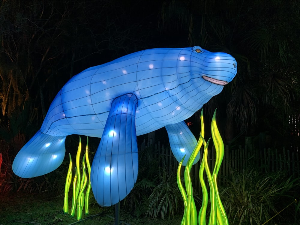 blue inflatable fish on green grass