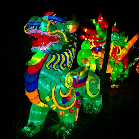 Vibrant, illuminated sculptures of mythical creatures with intricate patterns and bright colors. These figures are prominently set against a dark backdrop, likely in a nighttime setting, showcasing a dynamic mix of swirling lines and ornate details.