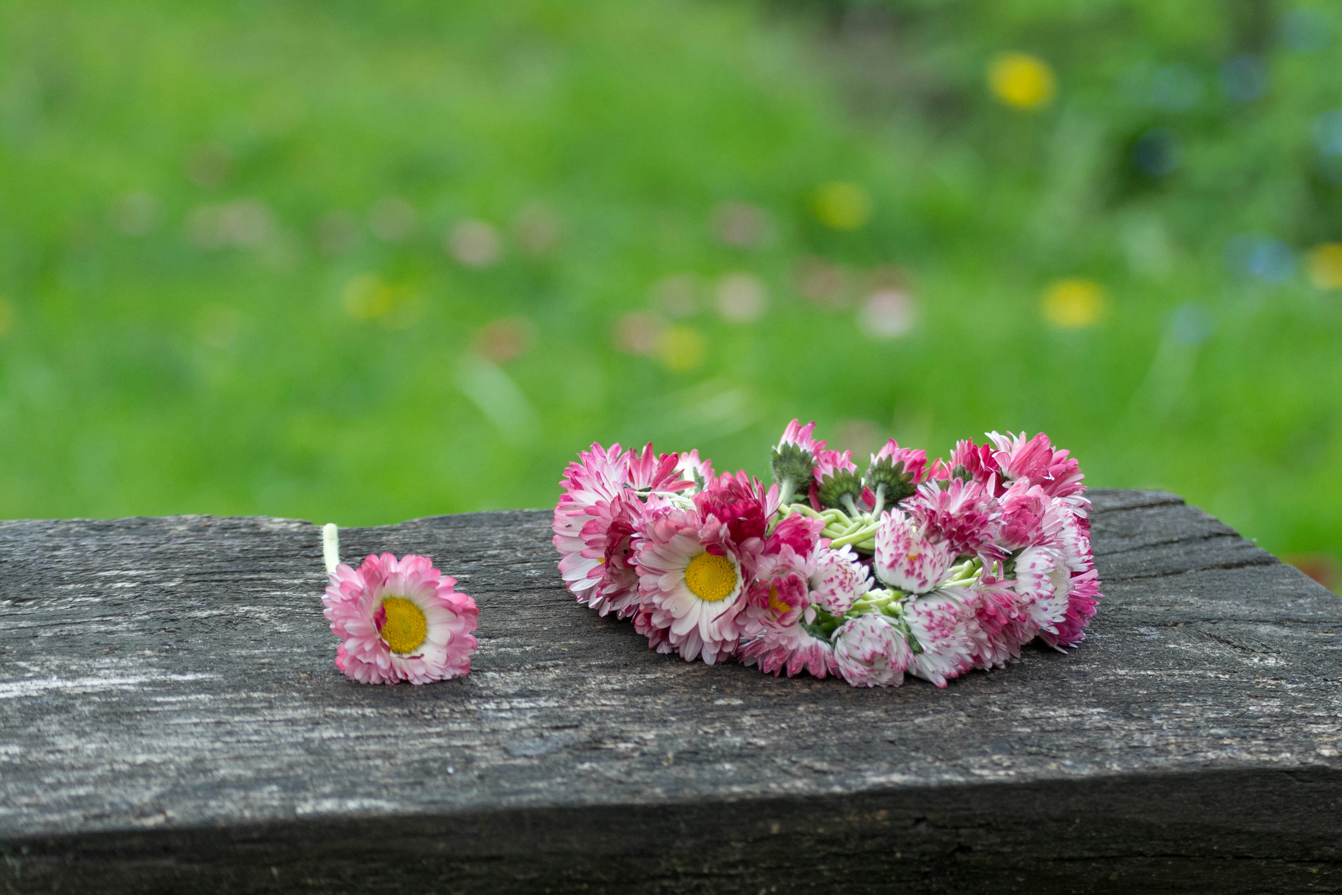 rosa Blumen auf braunem Holztisch