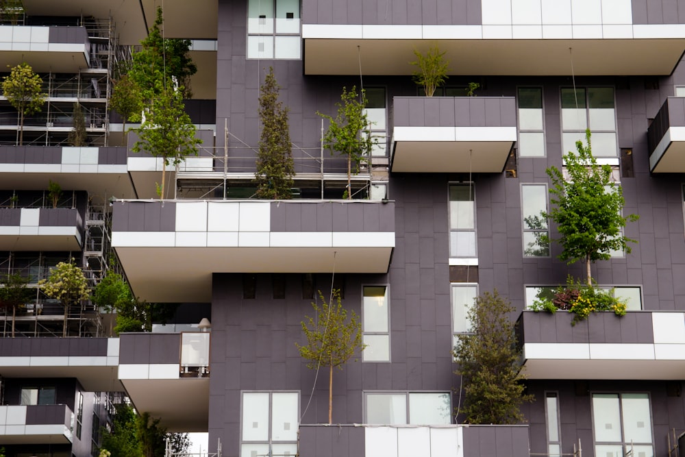 árboles verdes frente a un edificio de hormigón blanco