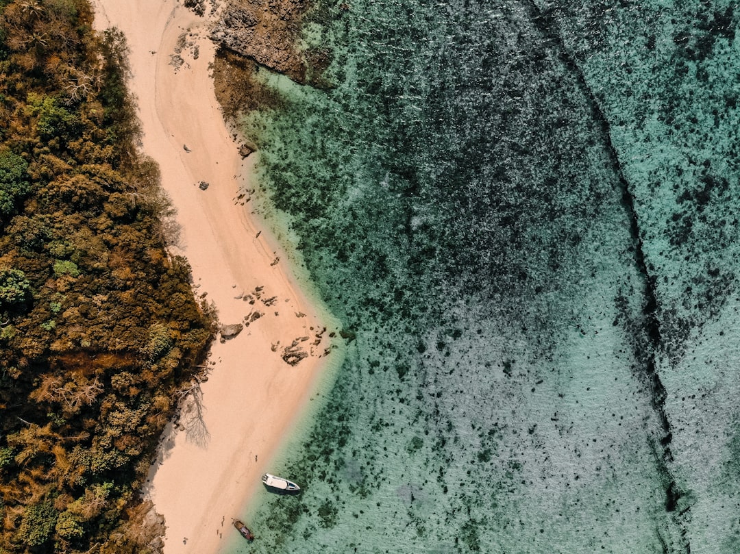 aerial view of green trees and white sand beach during daytime