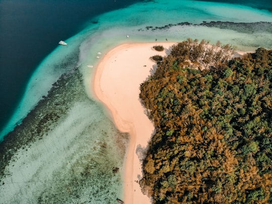 aerial view of green trees beside blue sea during daytime in Ko Phai Thailand