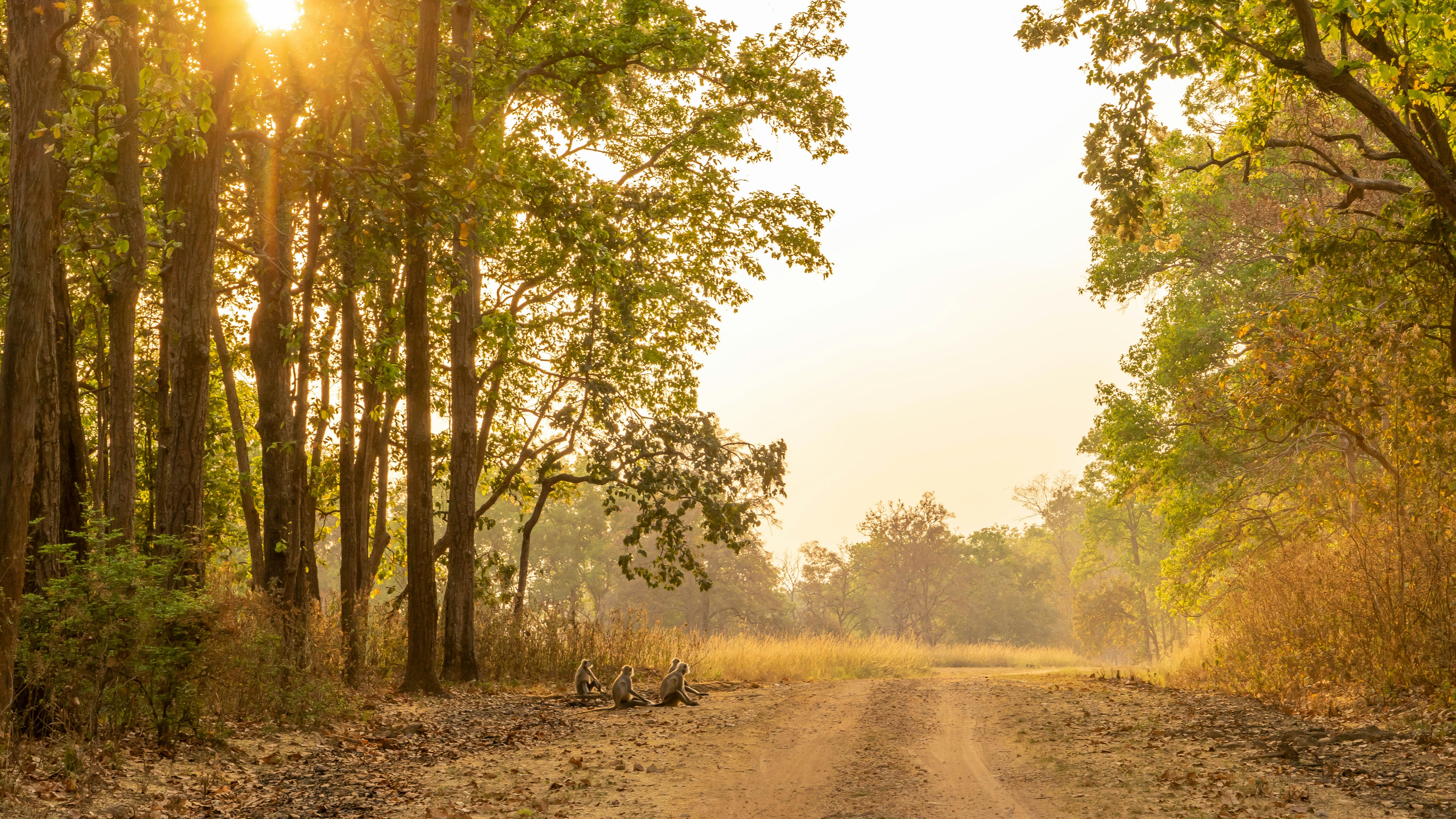 Photo by hansjurgen007