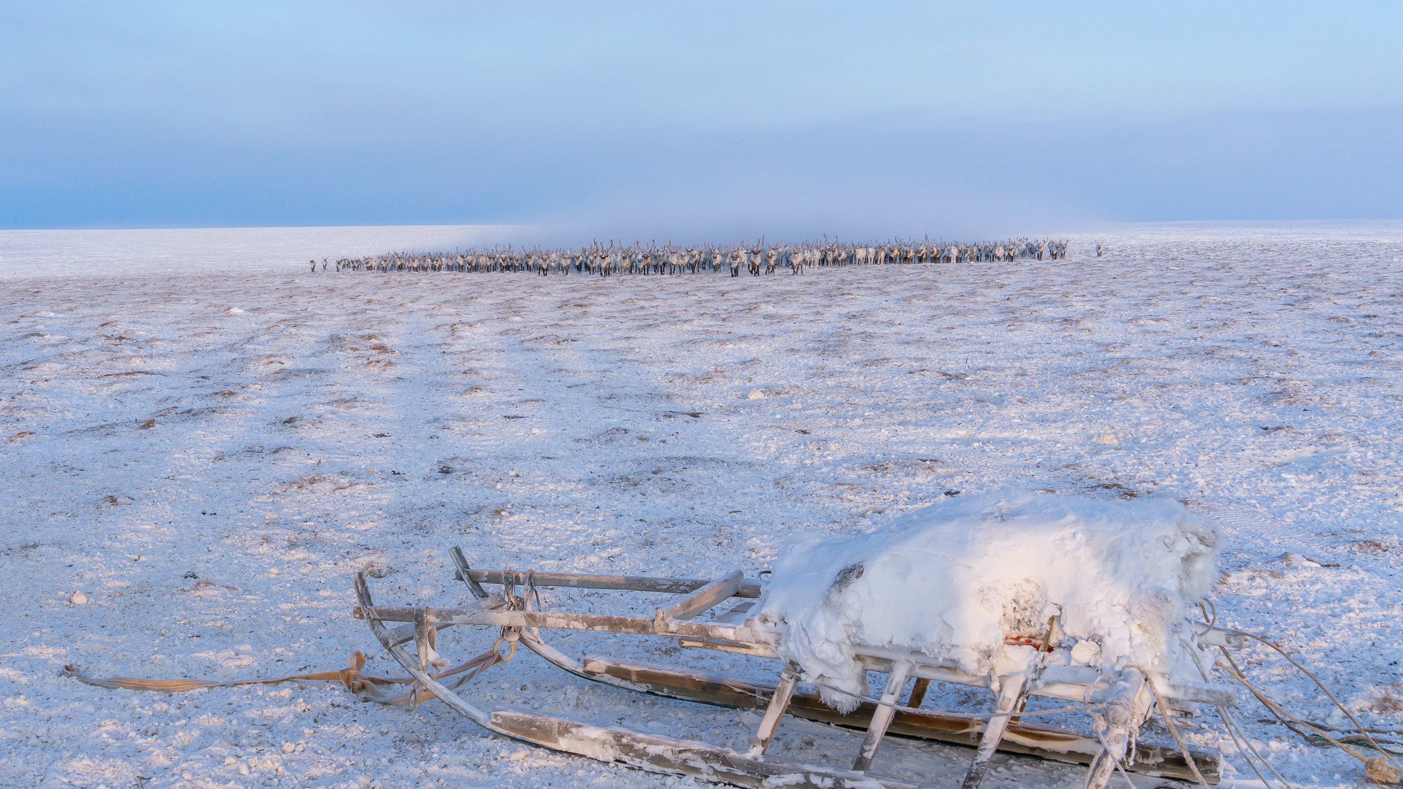 brown wooden fence on white sand during daytime