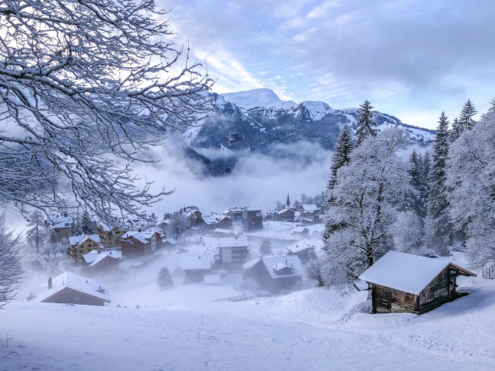 Braunes Holzhaus auf schneebedecktem Boden in der Nähe von Bäumen und Bergen tagsüber