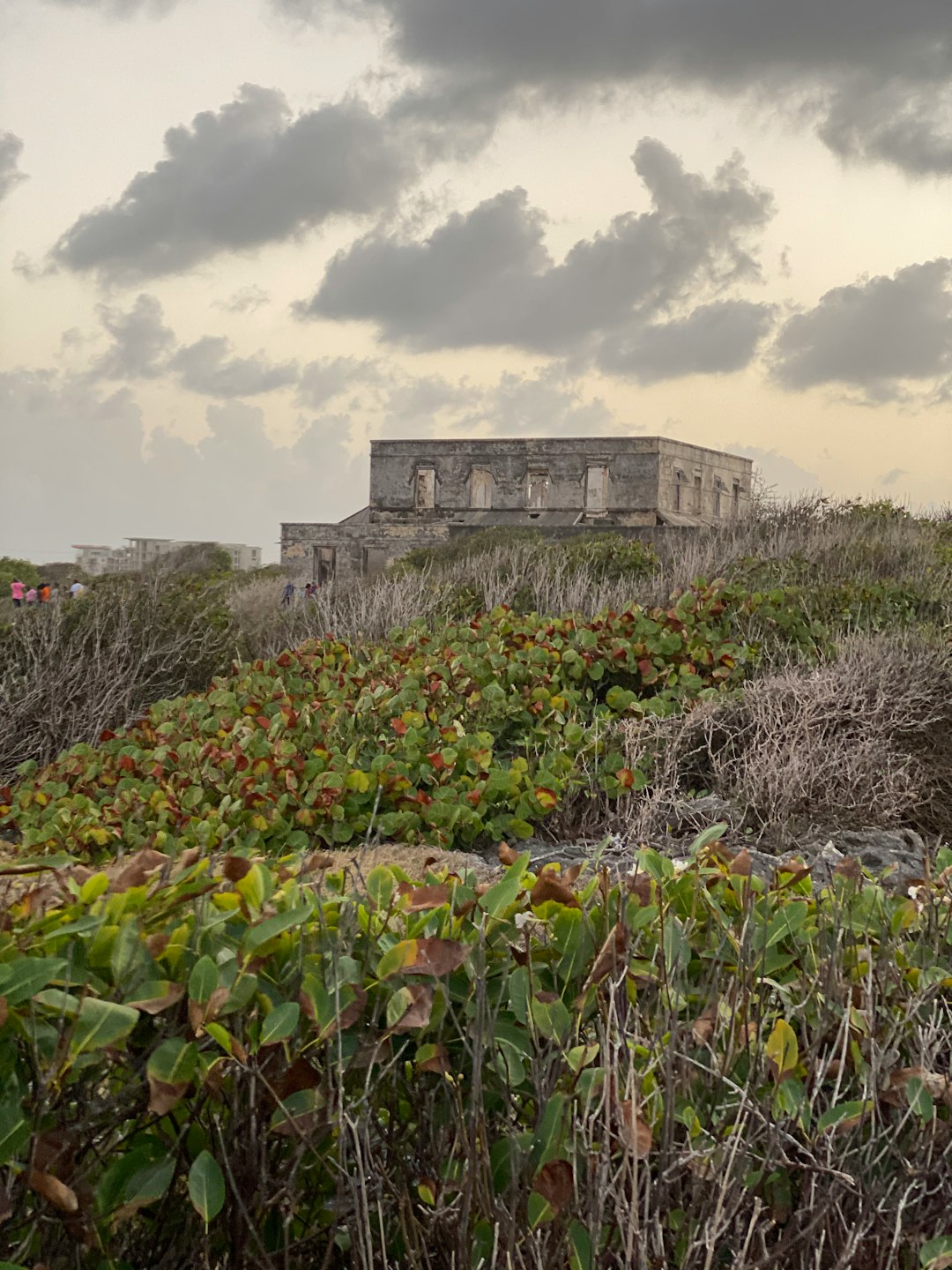 travelers stories about Natural landscape in Bottom Bay, Barbados