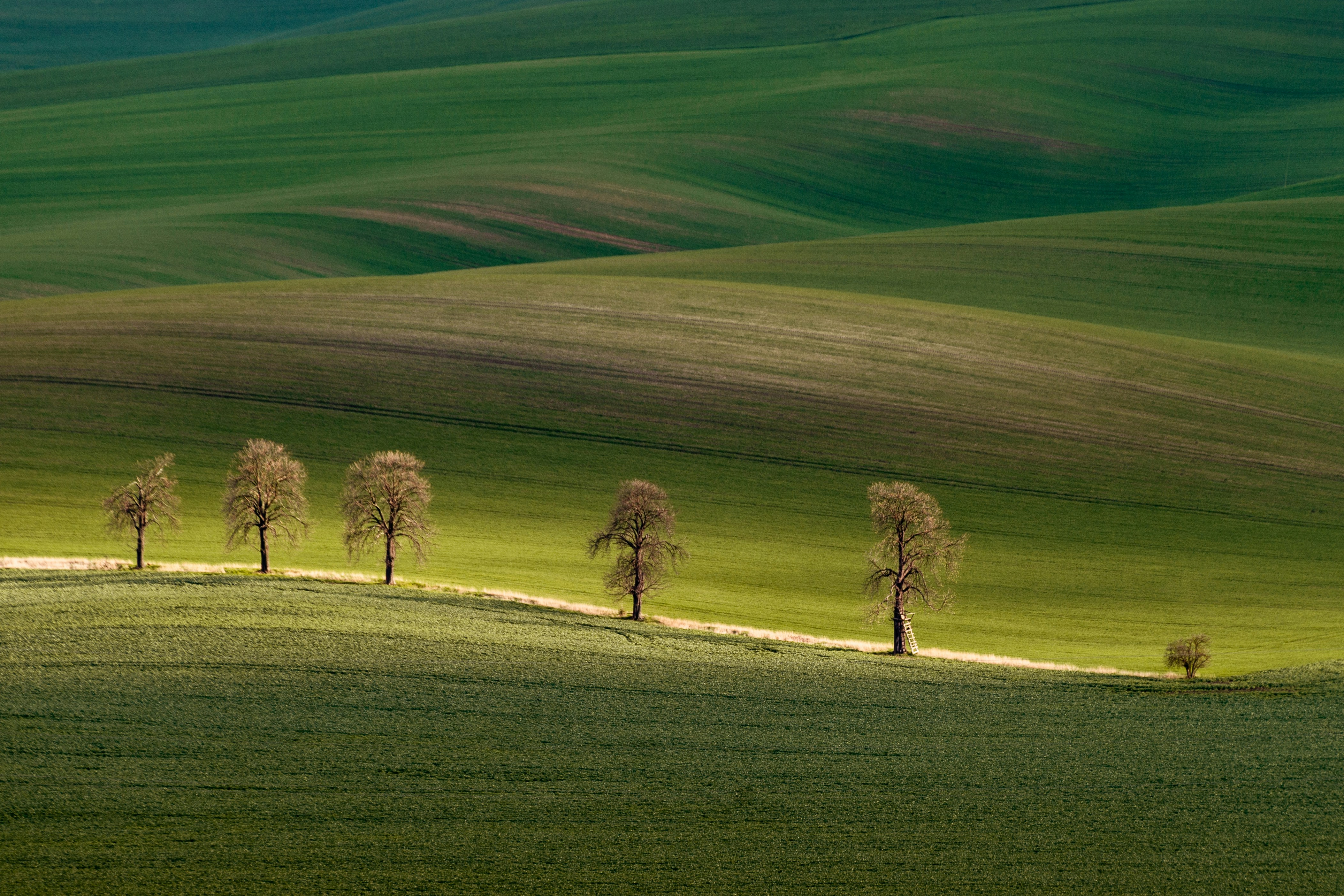 Photo by cezarymorga