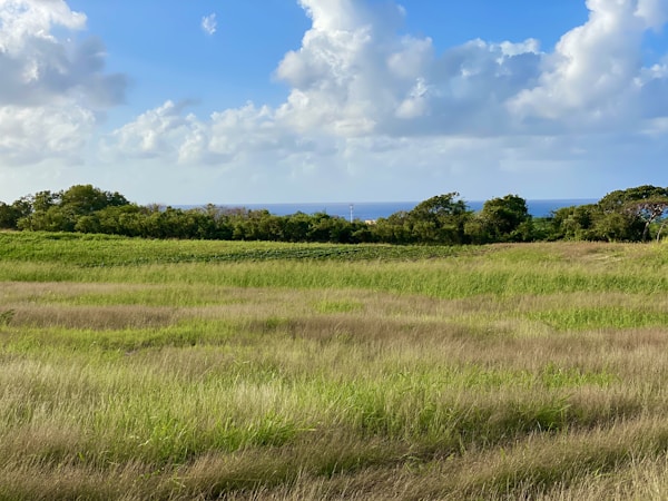 Bridgetown Travel Guide: Discovering the Charm of Barbados